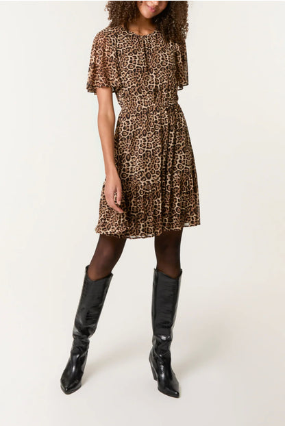 LOLA - Leopard Print Mesh Dress - Various Sizes